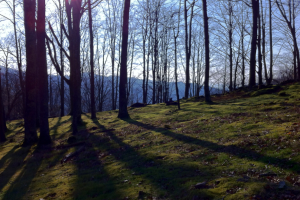 restaurant oiartzun restaurantes oiartzun tolare