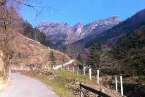 oiartzun tolare berri oiartzun