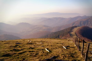 restaurantes en oyarzun