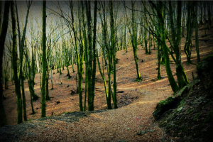 txikierdi restaurante oiartzun